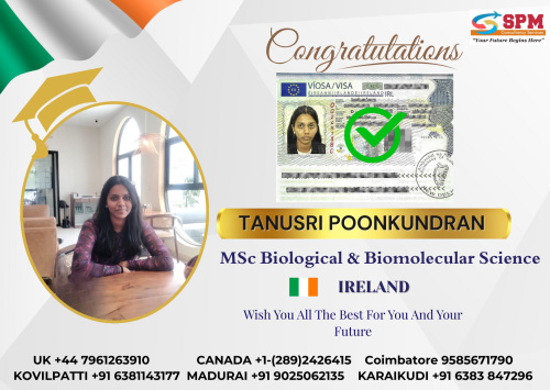 Blue Modern Business Card - 29