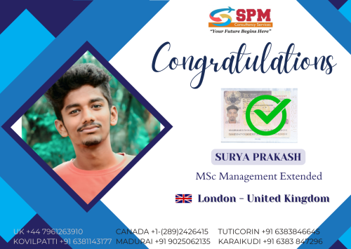 professional study abroad consultants