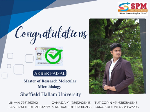 best study abroad consultancy