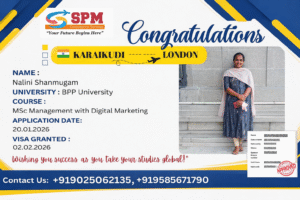 study abroad consultancy